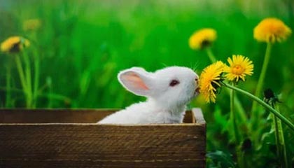 九游娱乐(jiuyou)官网-体育摄影大赛记录运动精彩瞬间，体育摄影作品简介