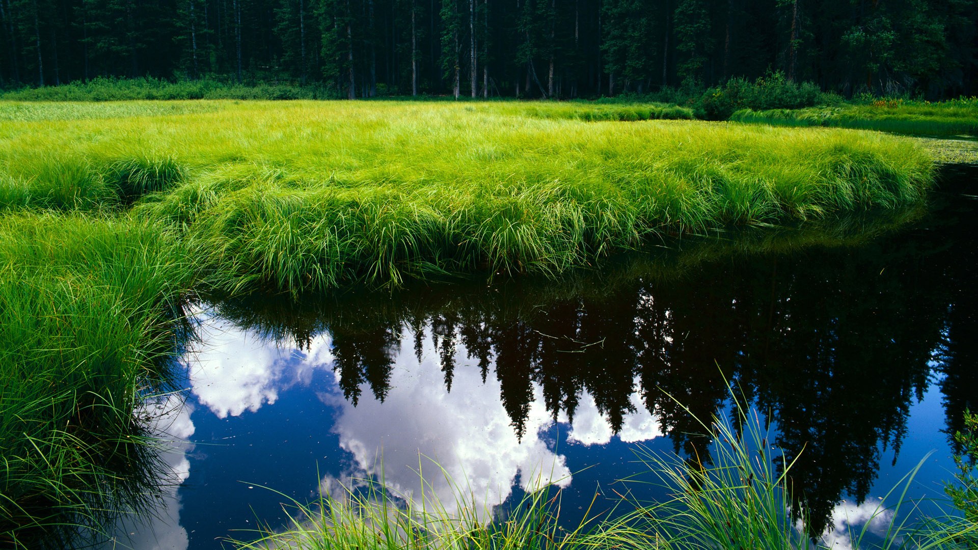 _篮网队全线发力，战绩火箭般提升_，篮网队篮球