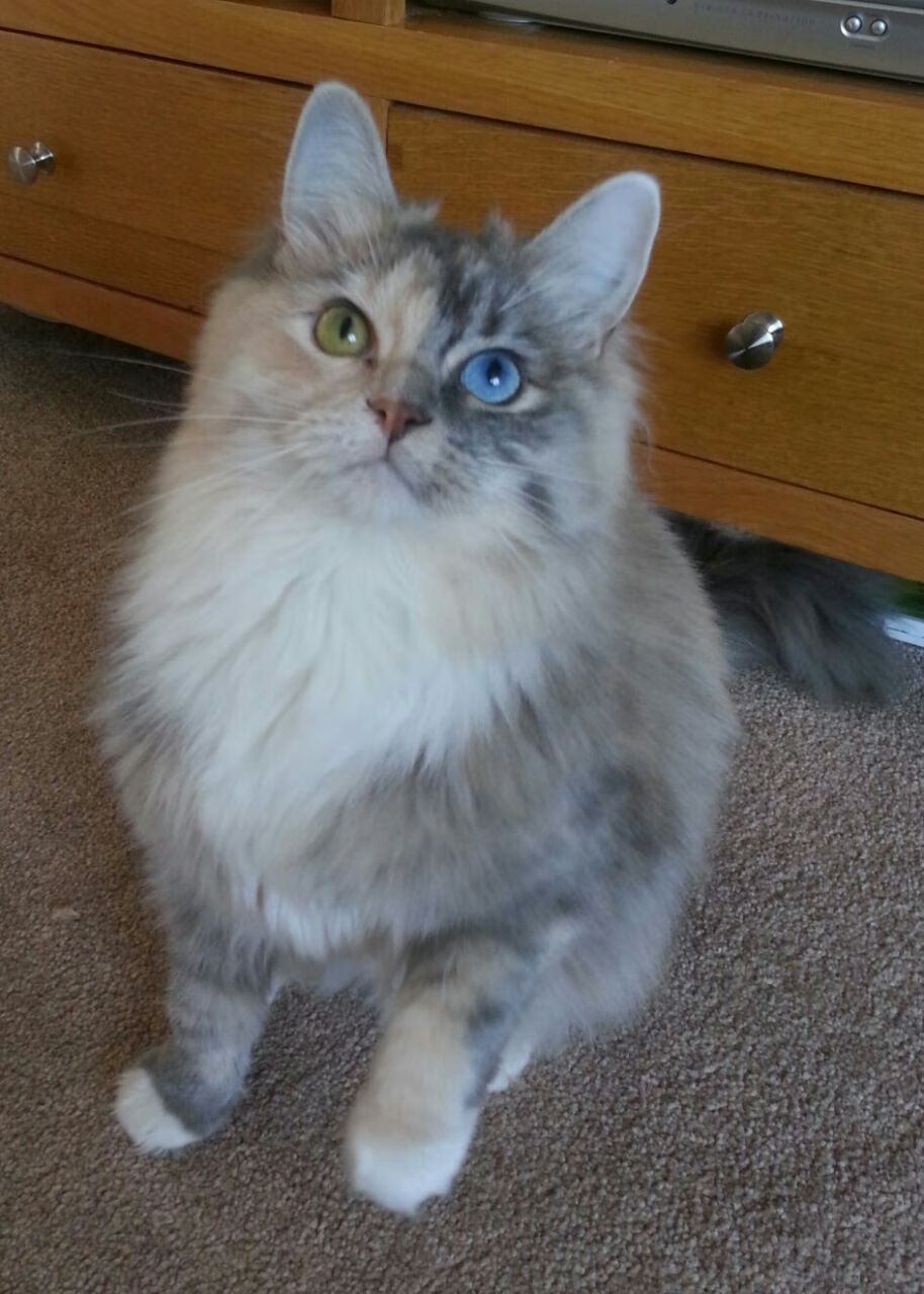 九游（jiuyou.com）游戏-“足球+农村振兴”计划稳步推进，基层足球事业不断壮大，农村学校足球现状分析