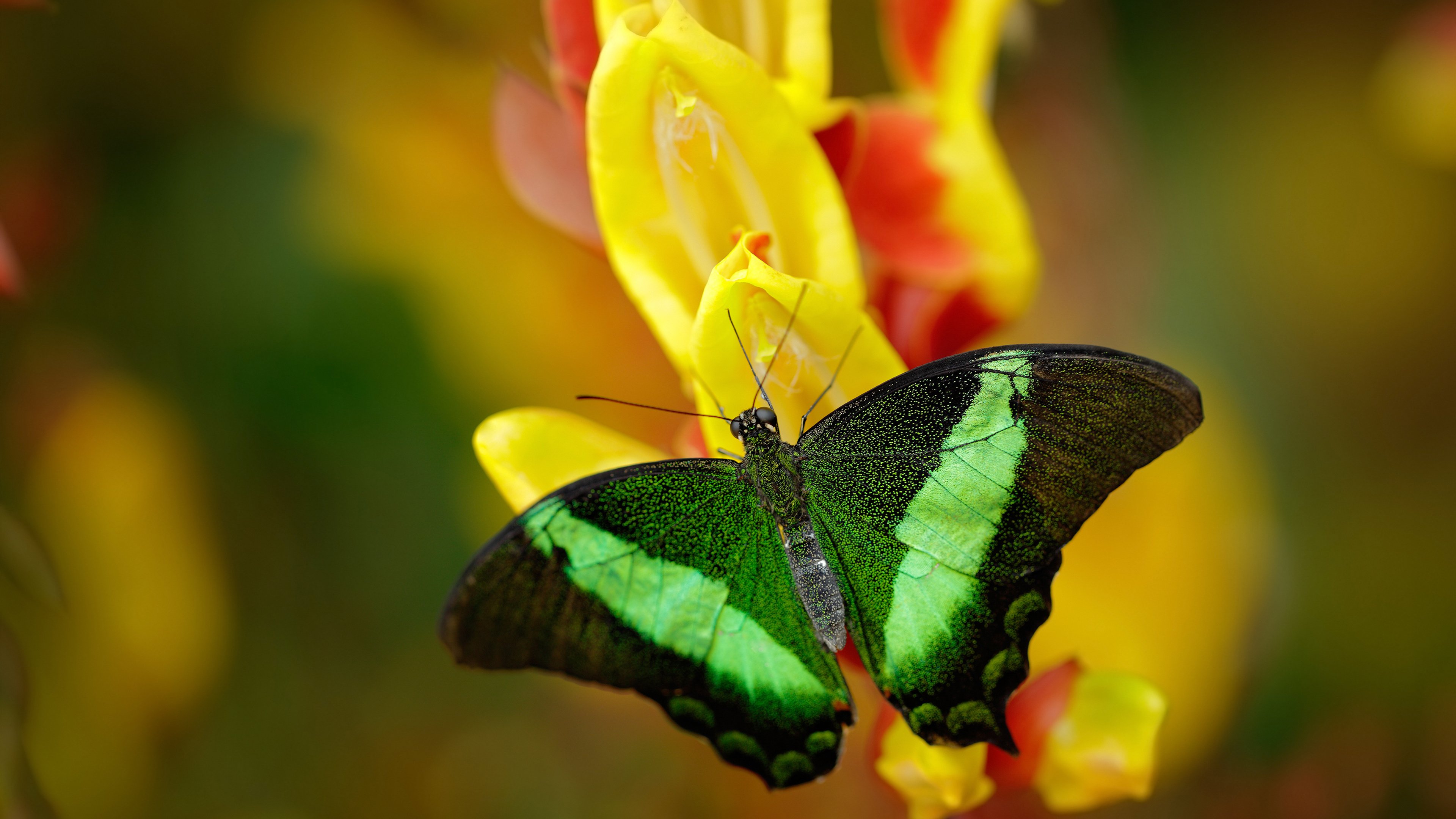 九游(jiuyou)官方网站-【现场直播】专家现场解读比赛中的关键战术和细节，比赛关键时刻