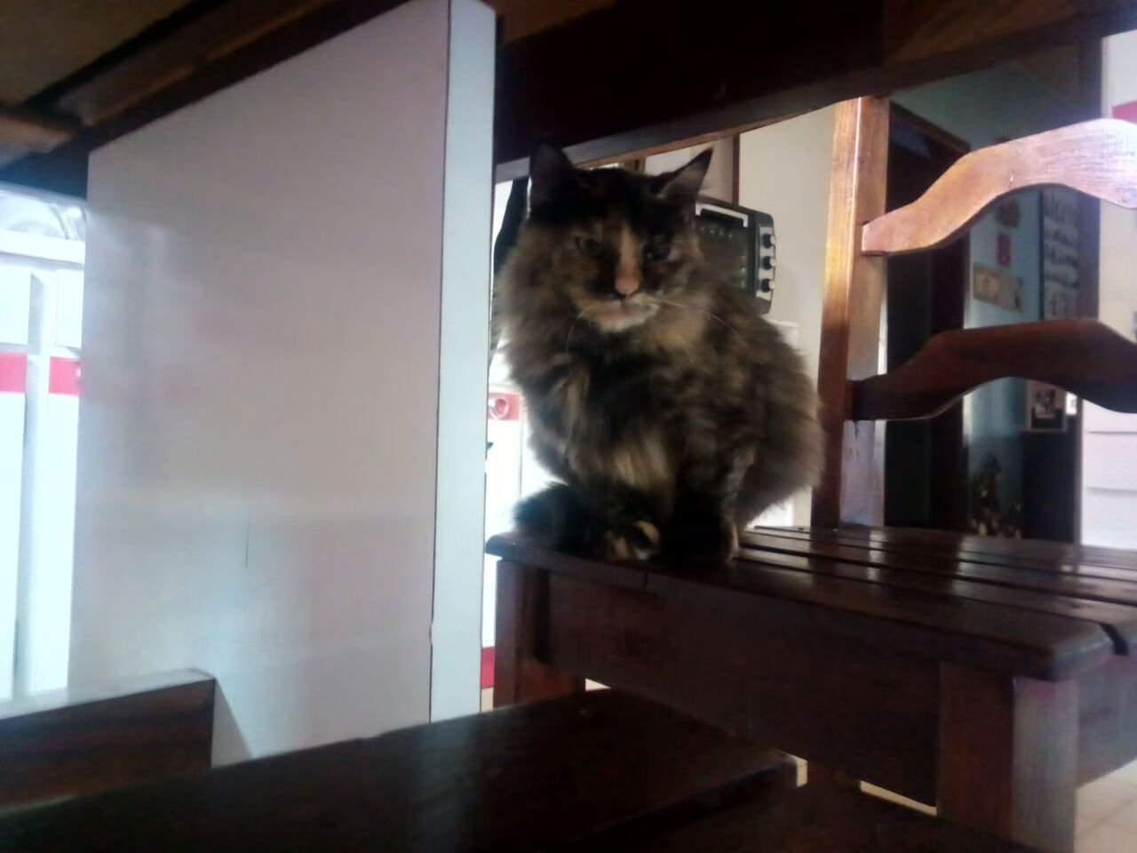 威廉姆斯表示：“这是我为之奋斗的梦想”，威廉姆斯先生,我就不拐弯抹角了