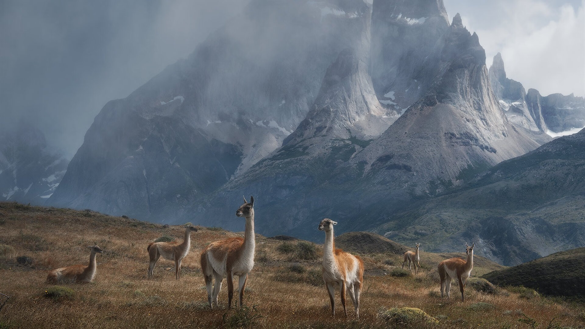 日本马术协会与亚洲马术协会建立合作关系,推动区域发展。,日本马术比赛场地