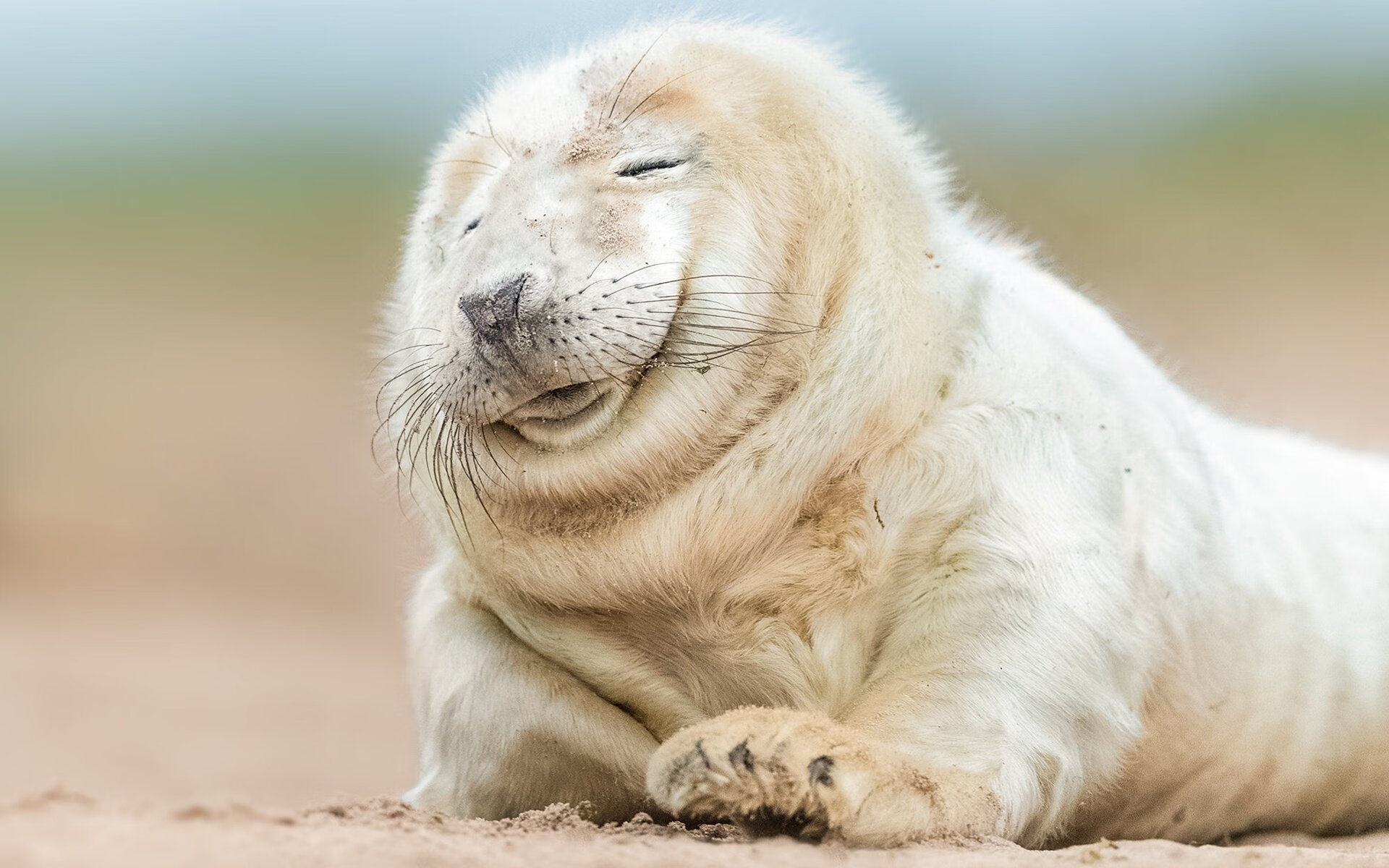 九游网页版官网-青少年足球“成长档案库”上线，促进精细化培养，青少年足球训练计划表