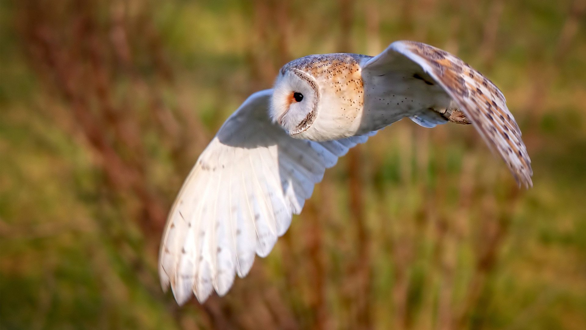 青少年篮球训练基地建设稳步推进,改善硬件条件,青少年篮球培训基地怎么申请