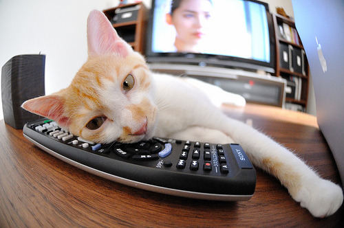 关键足球主场战术布置,关键足球主场战术布置方案