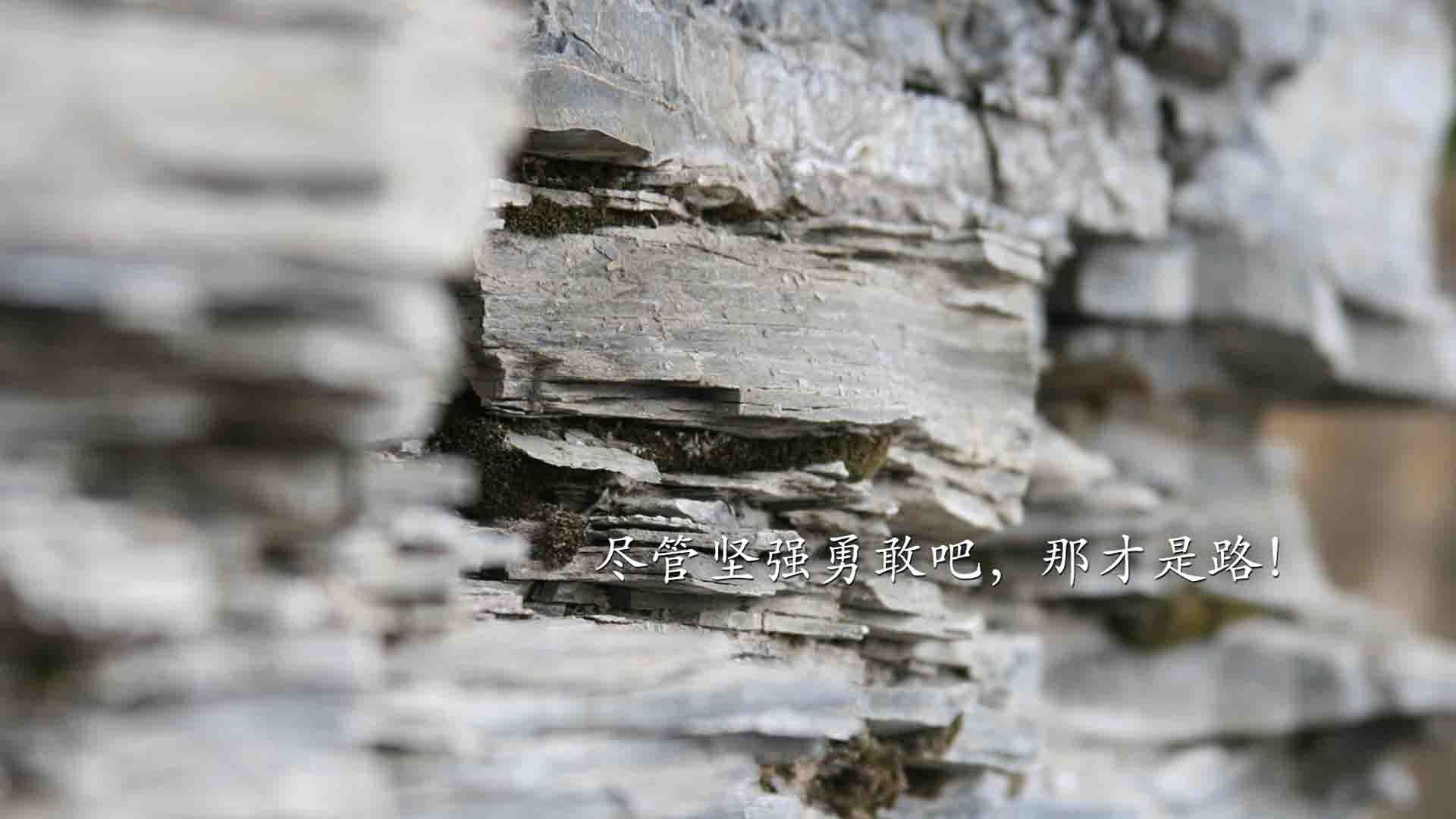 兹韦勒逼平卡昂，胜利主场难求连续不胜，兹维列夫决赛