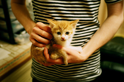 河床篮球队防守端提升明显,河床队的球星