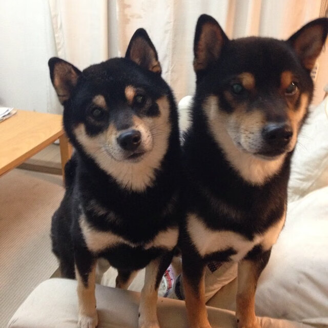 沃特福德主场小胜，为保级注入信心，沃特福德俱乐部官网