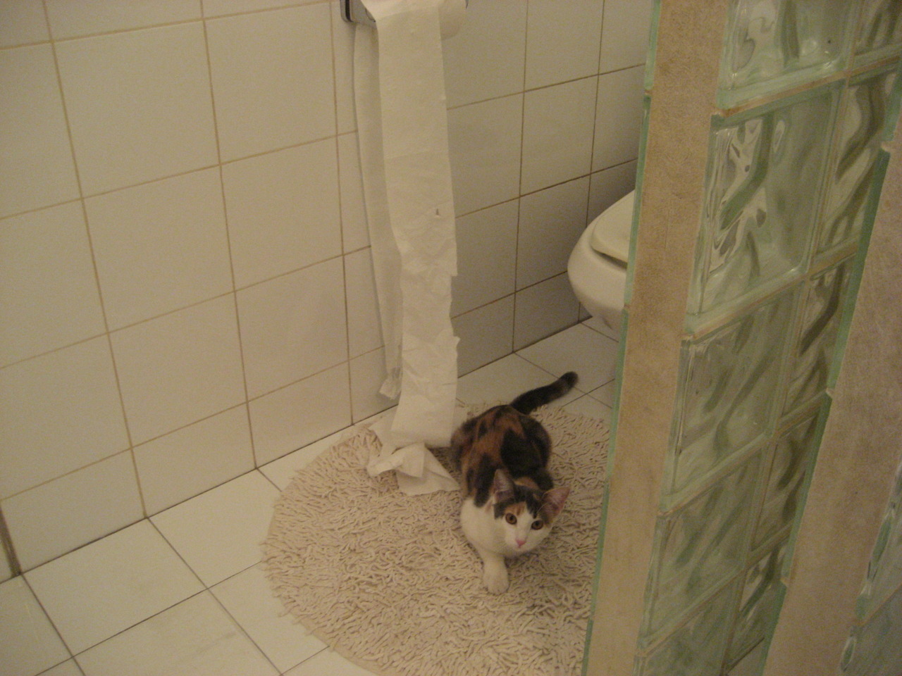 九游(jiuyou)官方网站-贵州智诚主场抢分成功，保持不败势头，贵州智诚企业集团投资有限公司