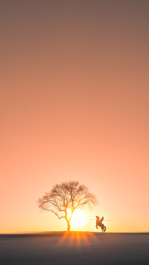 马赛球员伤病情况更新,马赛2021阵容