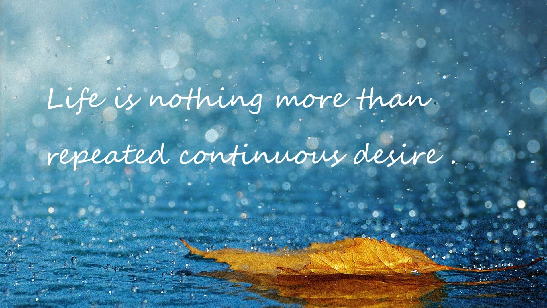 中国篮球职业联赛市场细分及粉丝互动策略,国内篮球职业联赛