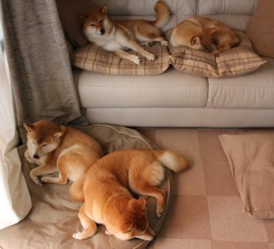 中国足球裁判判罚影响数据整理，中国足球裁判都有谁