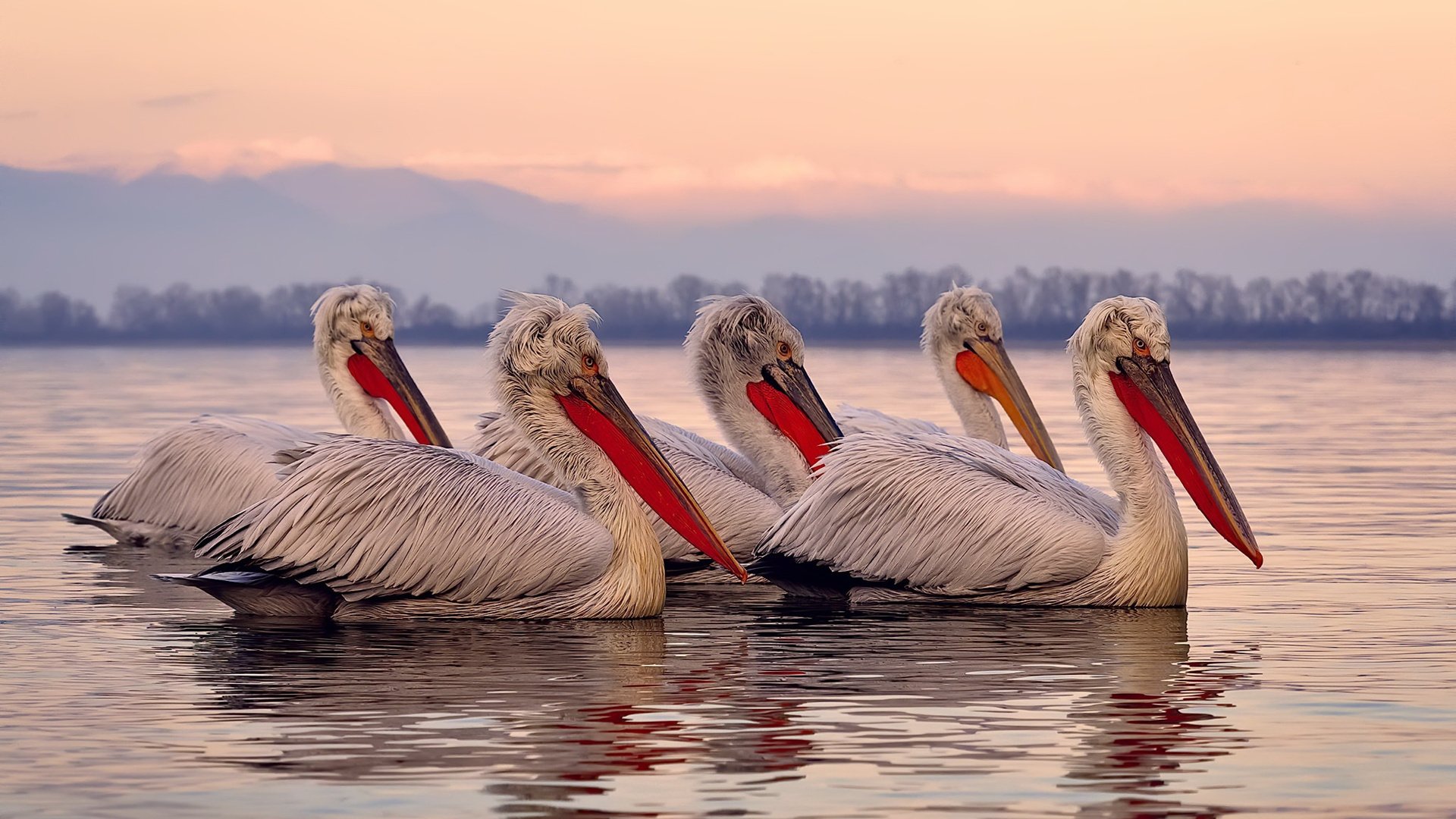 中国男篮加强远投训练 应对外线压力，中国男篮要求