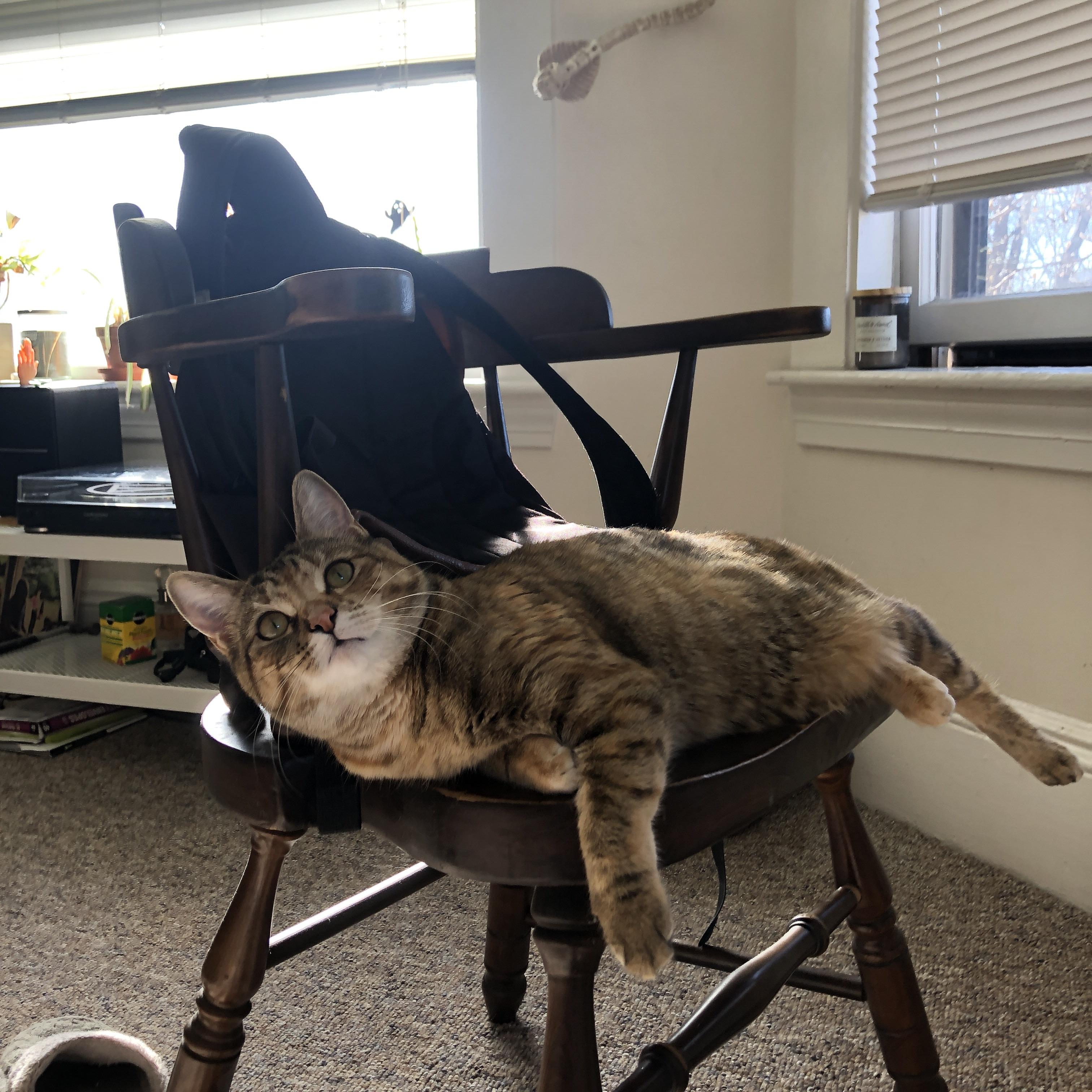 替补席深度成为夺冠关键因素,替补席是什么意思