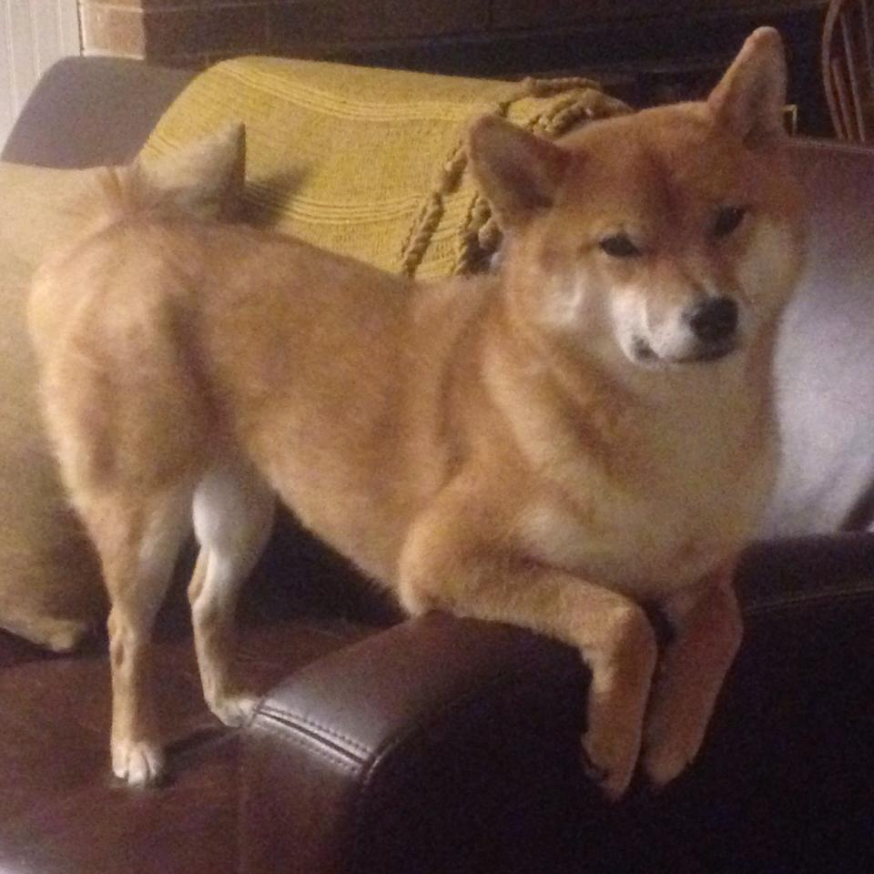 节奏控制是否能成为新型组织核心标准，节奏控制得恰到好处